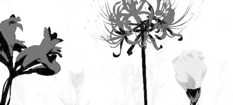 Banner animado de flores em preto e branco
