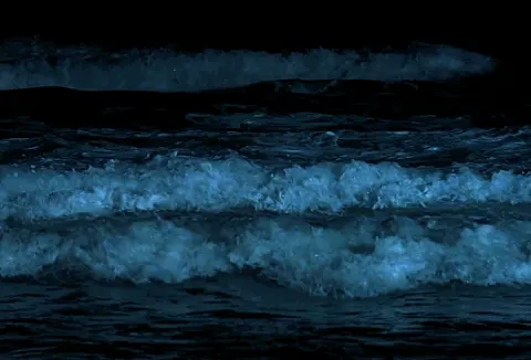 Ondas com Bioluminescência Noturna